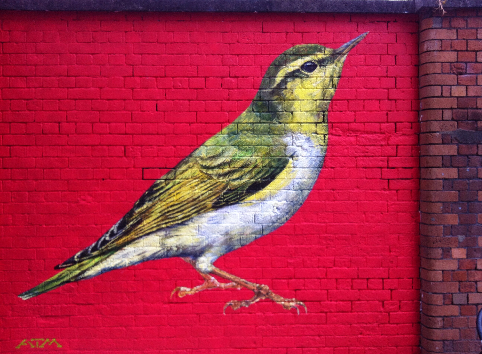 Wood Warbler, part of UpFest street art festival, Bristol.